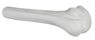 1051-16