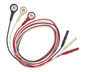 RHY-100-ECGA-1