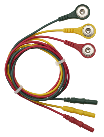 RHY-100-ECGB-1