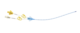 Front image va midlines agba catheter dl curved
