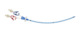 Va hemo agb straight 2l nopi 14fr 20cm